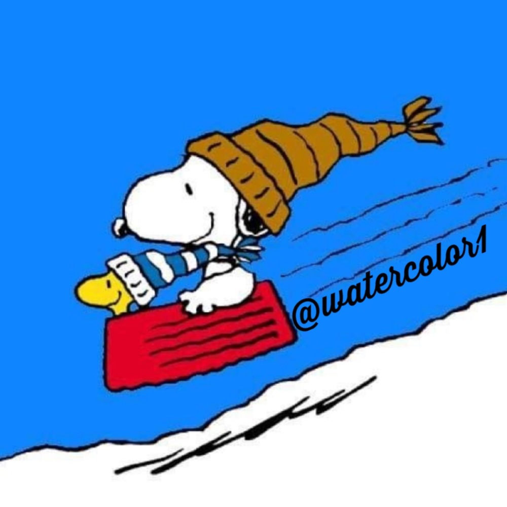 🤩 Live Free 🤩 - Picture 7 of 16